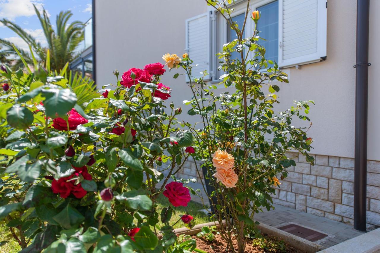 Summer House بولا المظهر الخارجي الصورة