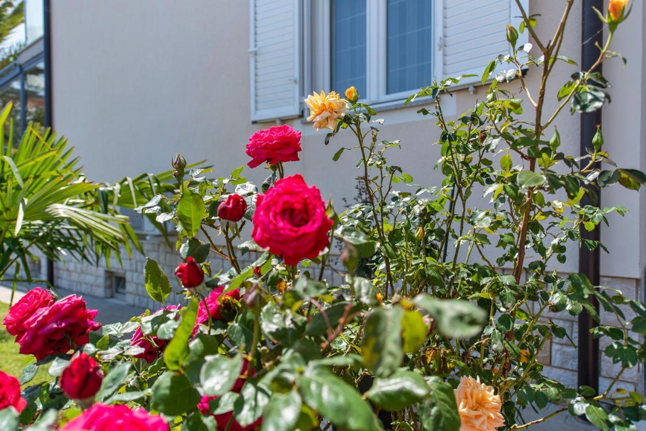 Summer House بولا المظهر الخارجي الصورة