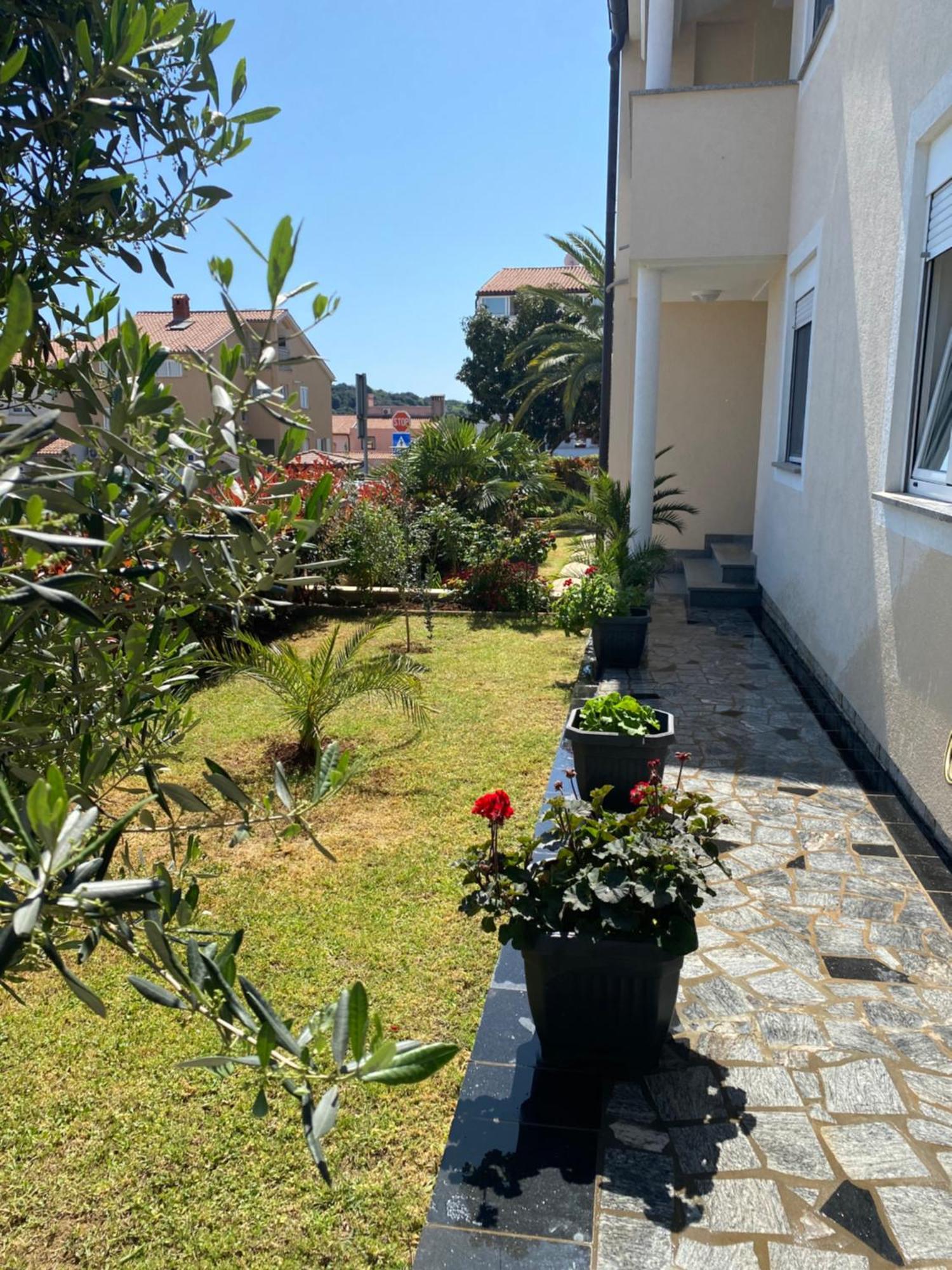 Summer House بولا المظهر الخارجي الصورة