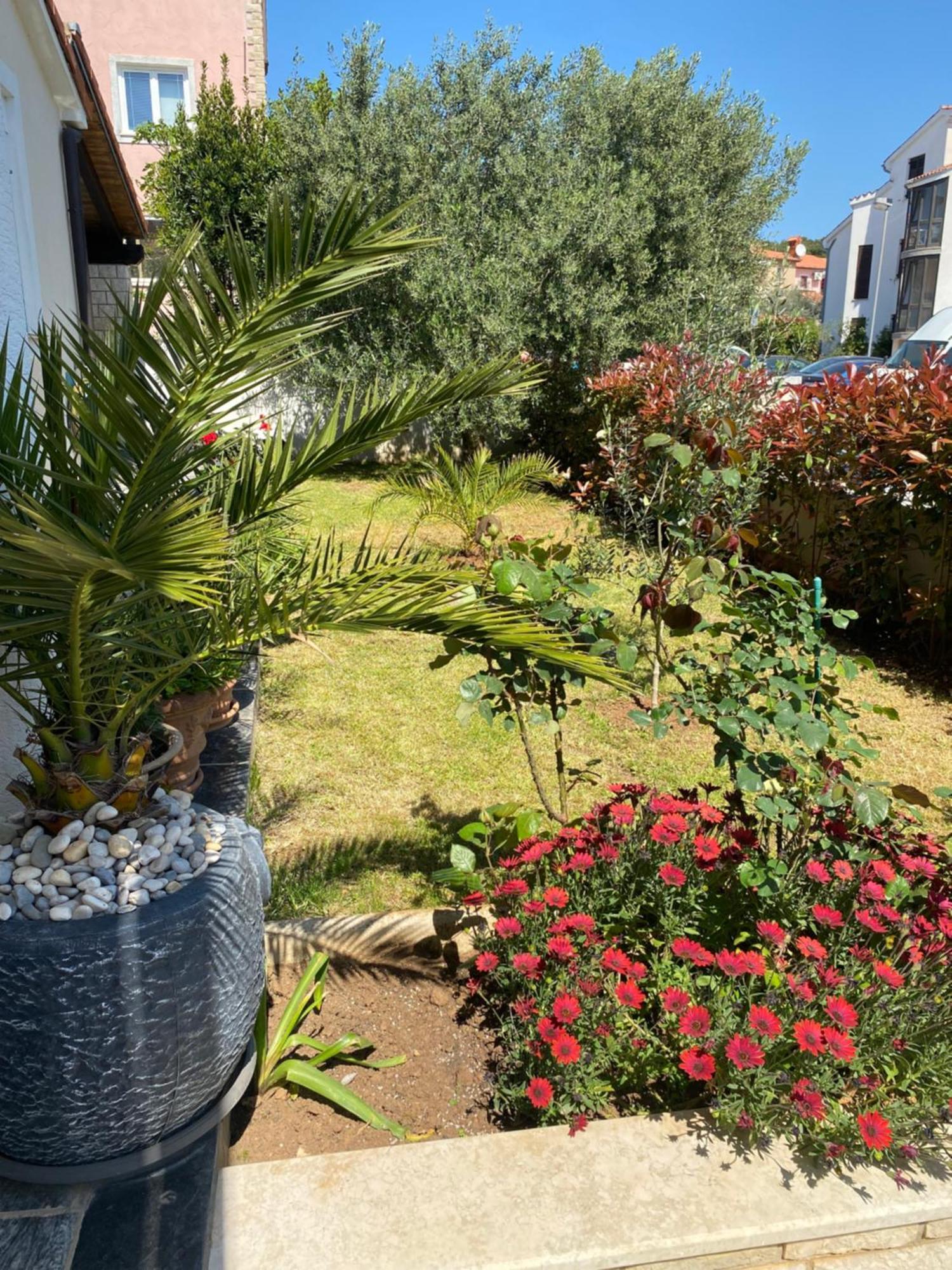 Summer House بولا المظهر الخارجي الصورة